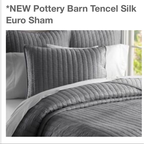 Pottery Barn Other - Pottery Barn Gray Silk Cotton Tencel EURO Sham